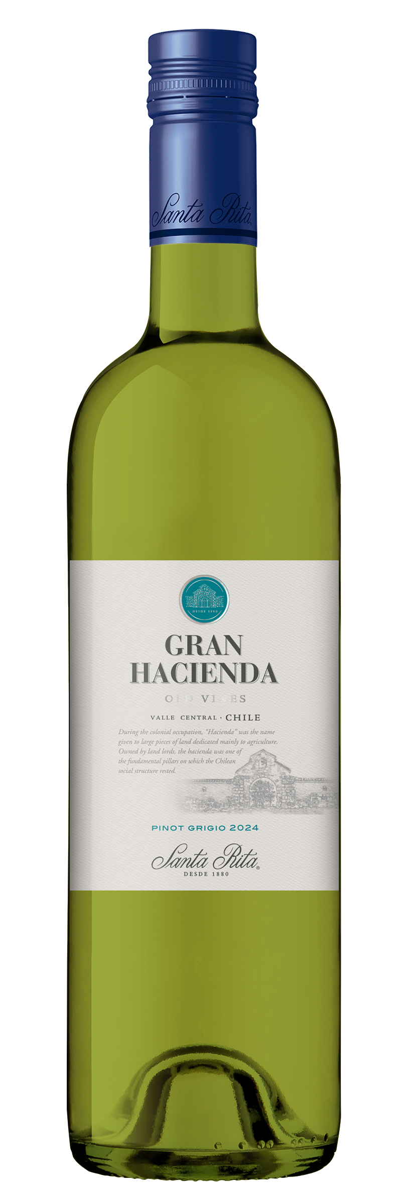 GRAN HACIENDA PINOT GRIGIO